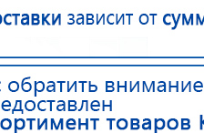 Электрод Скэнар - зонный универсальный ЭПУ-1-1(С) купить в Нижнем Тагиле, Электроды Скэнар купить в Нижнем Тагиле, Скэнар официальный сайт - denasvertebra.ru